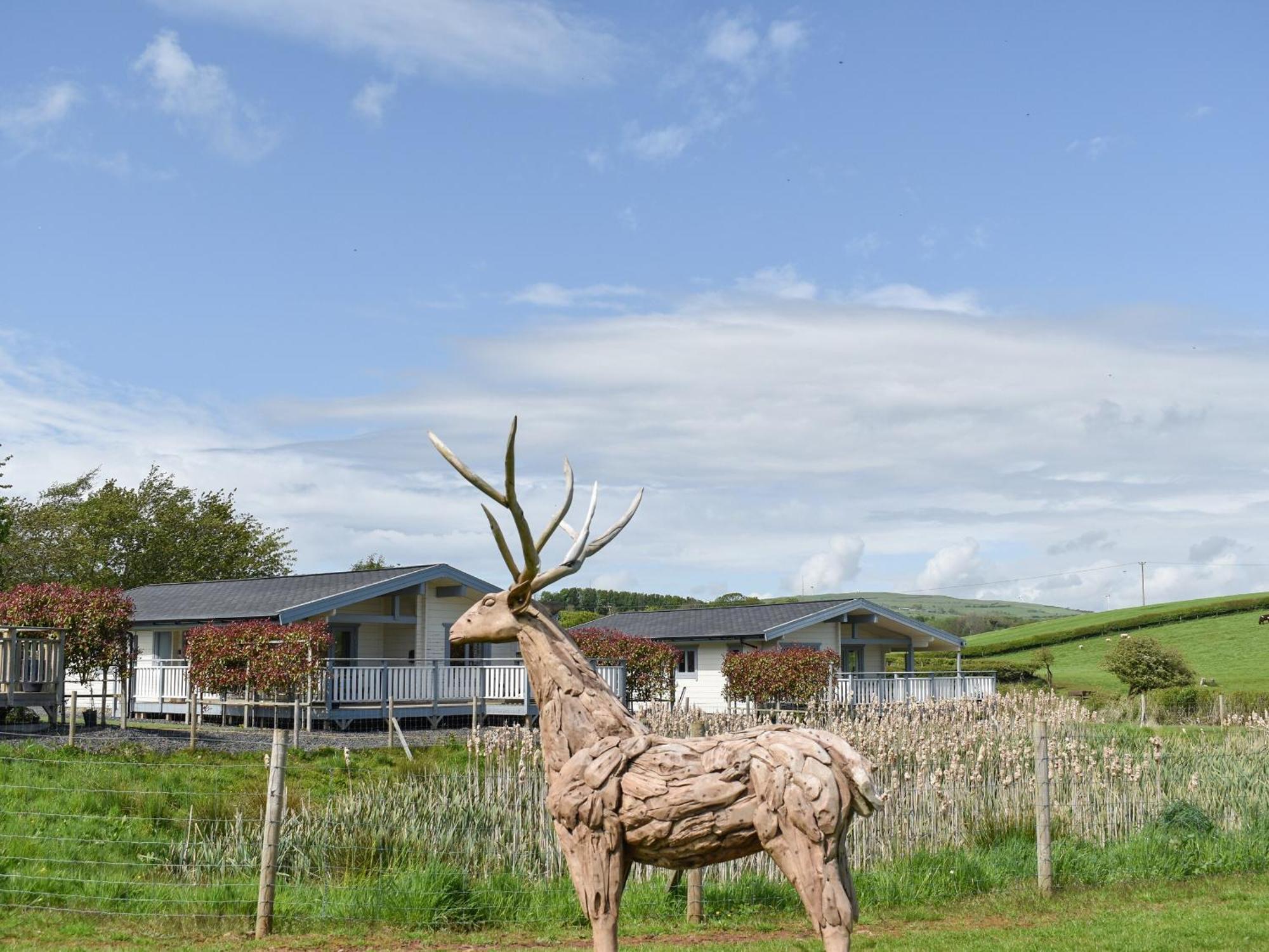 Pine Lodge - Uk30007 Lindal in Furness Εξωτερικό φωτογραφία