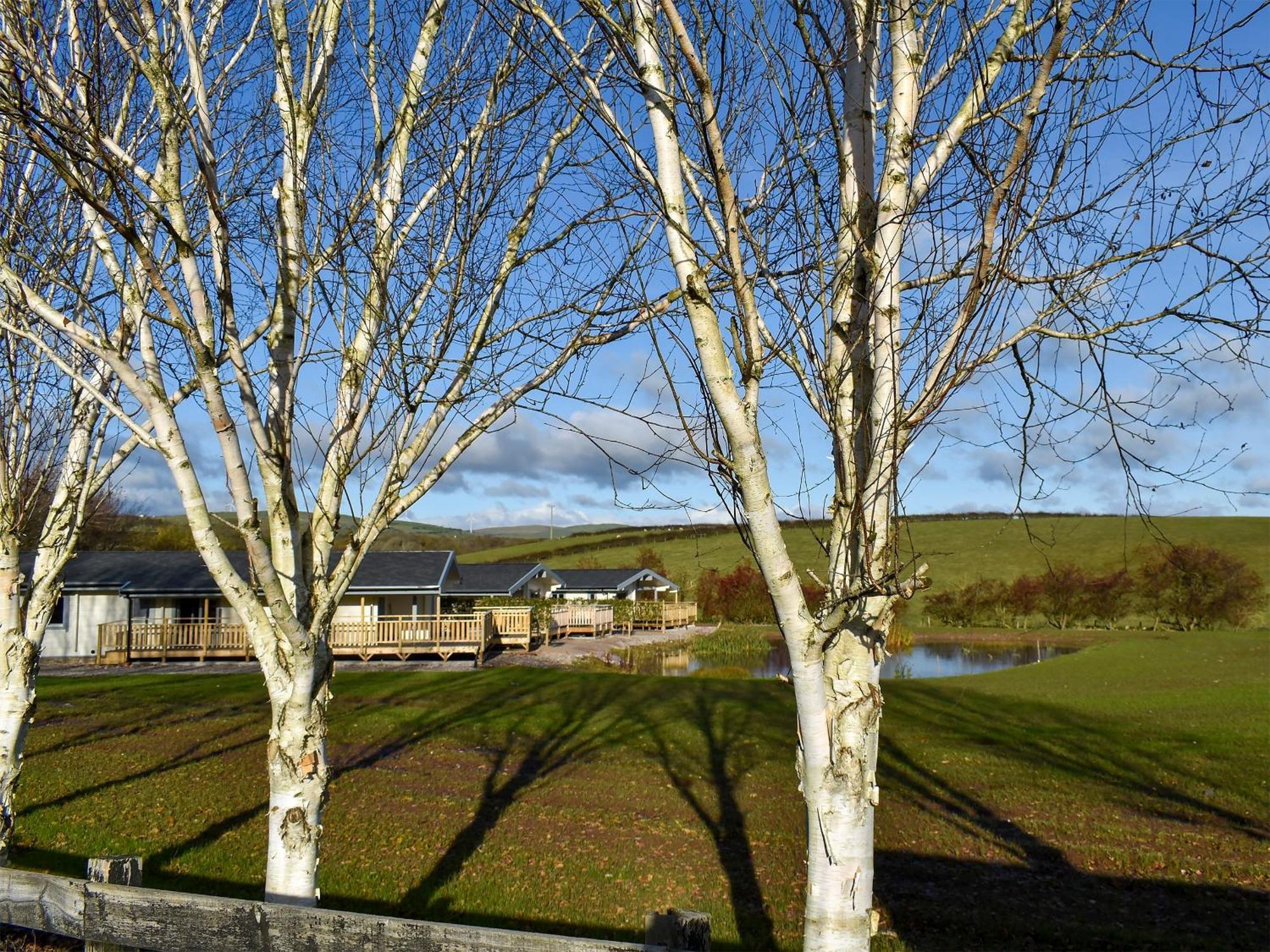 Pine Lodge - Uk30007 Lindal in Furness Εξωτερικό φωτογραφία